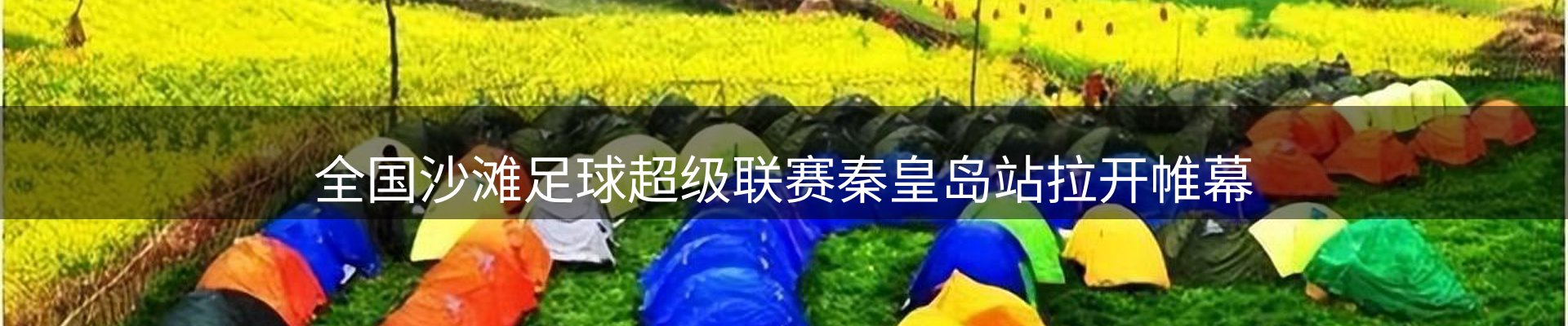 今日动态