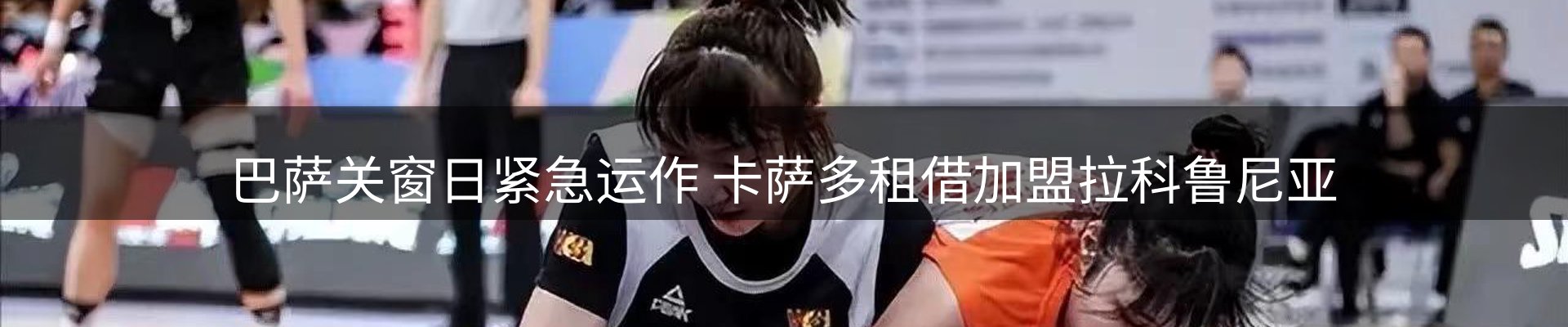 今日动态